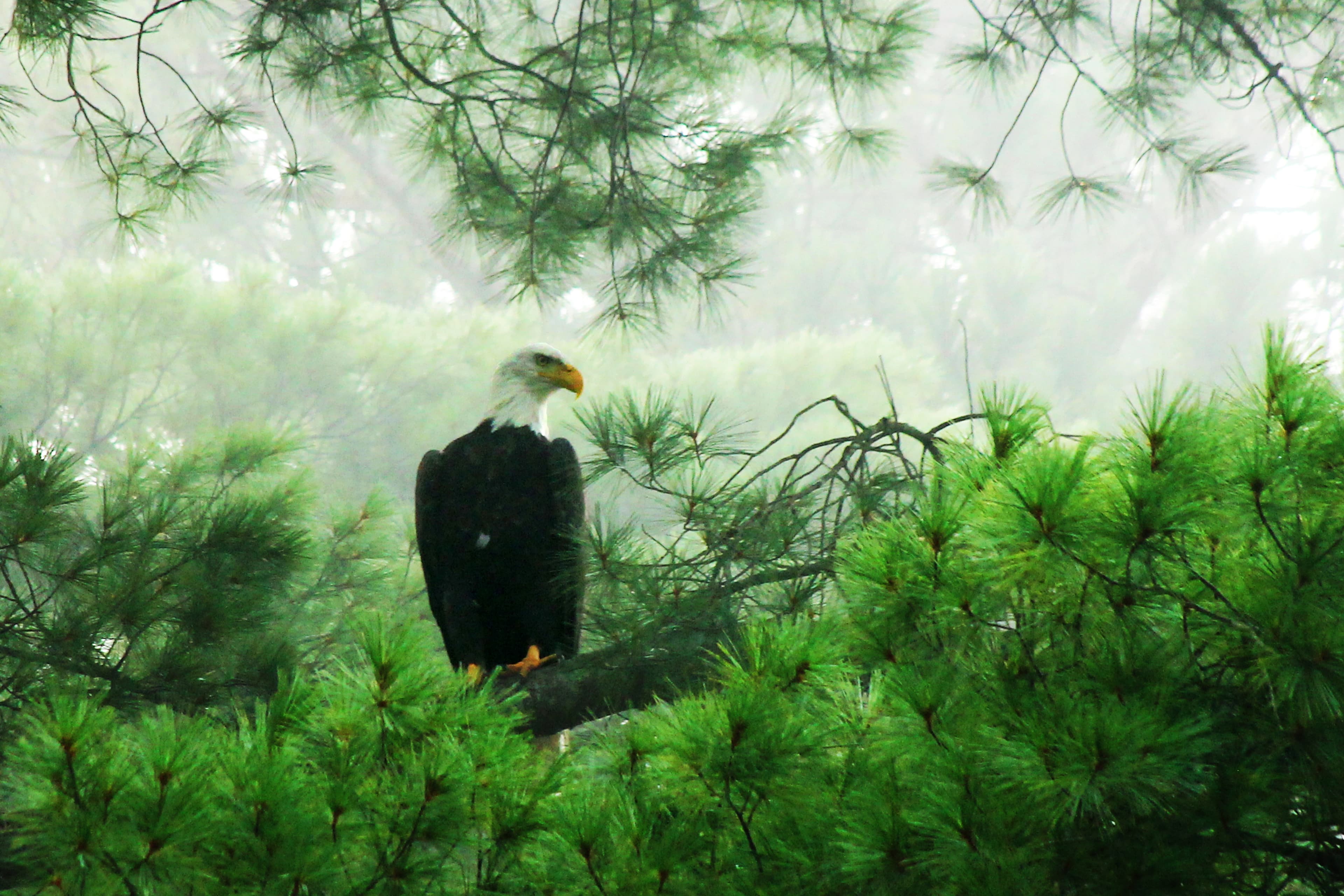 Cards photography collection