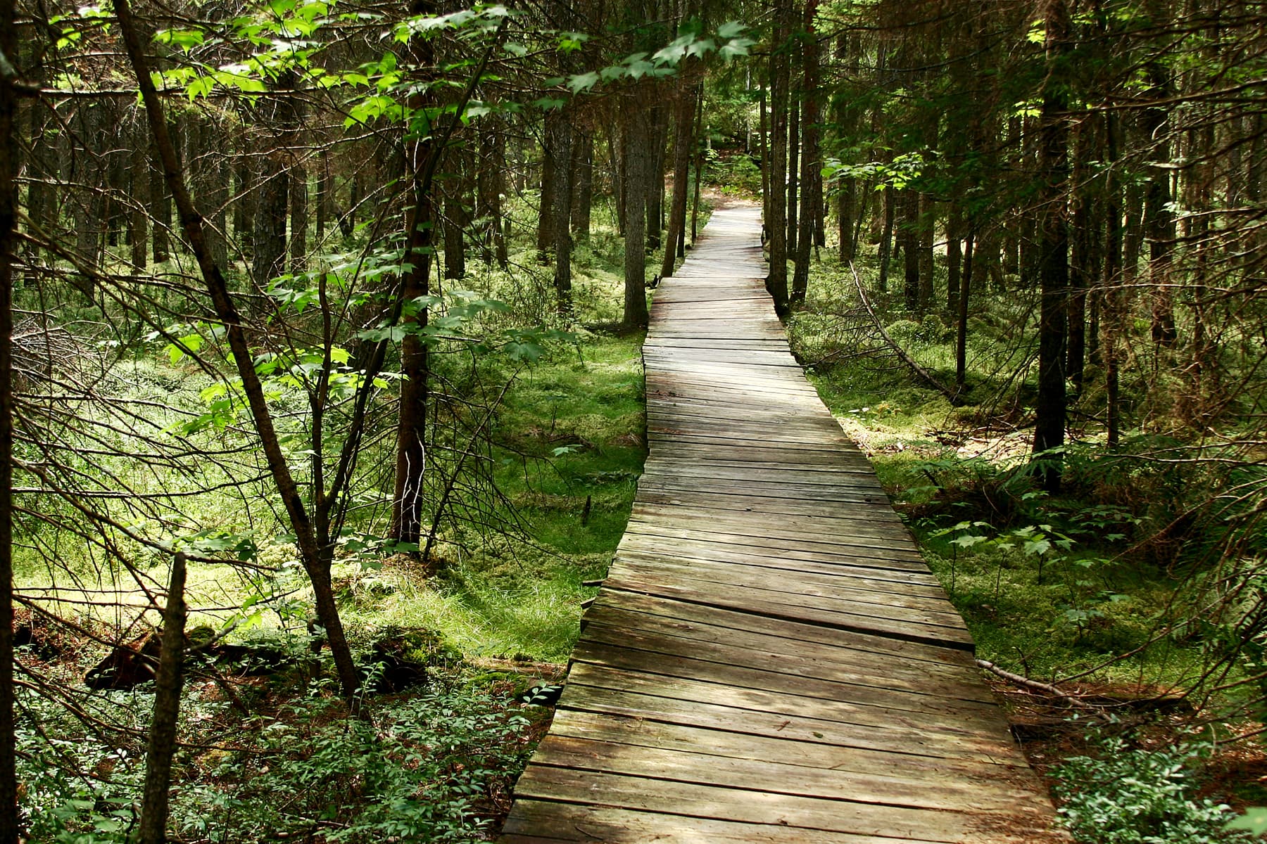 Skinnies photography collection