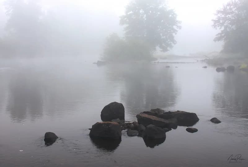 Still Waters