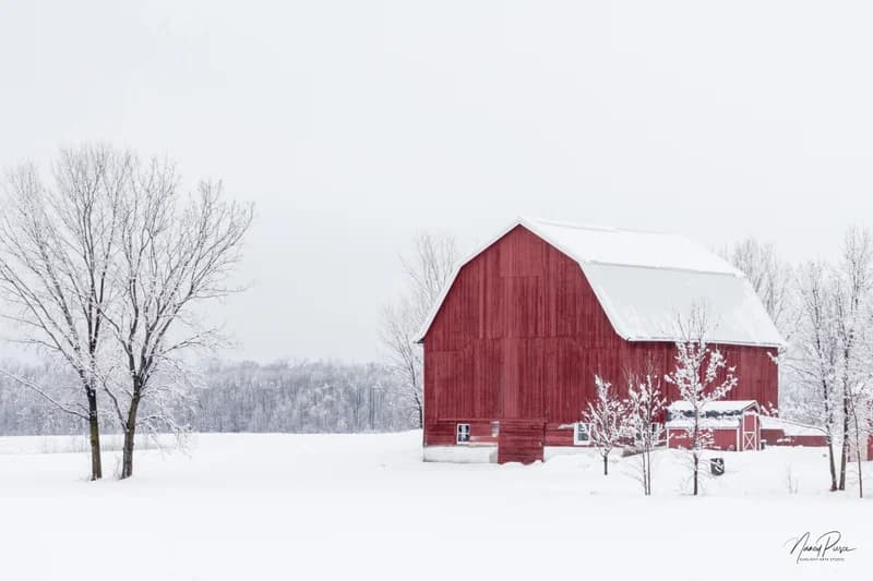 Red On Winter