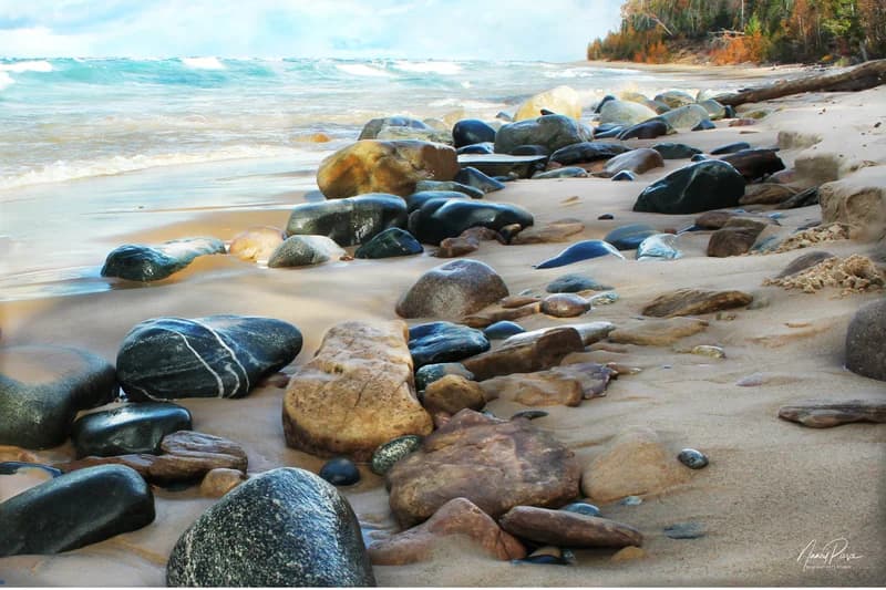 Rocky Shore